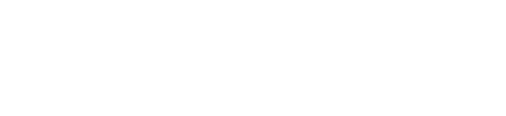 Logo white